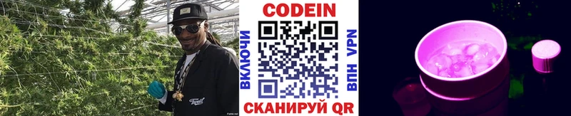 где купить наркотик  omg рабочий сайт  Codein Purple Drank  Саранск 