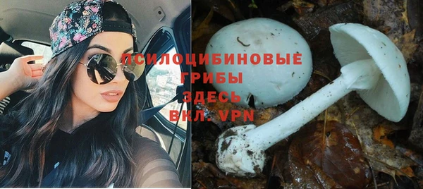 гашиш Алексин