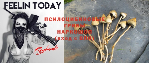 spice Абинск