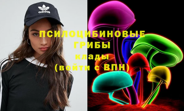 spice Абинск
