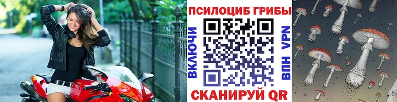 Галлюциногенные грибы мухоморы  наркота  Саранск 